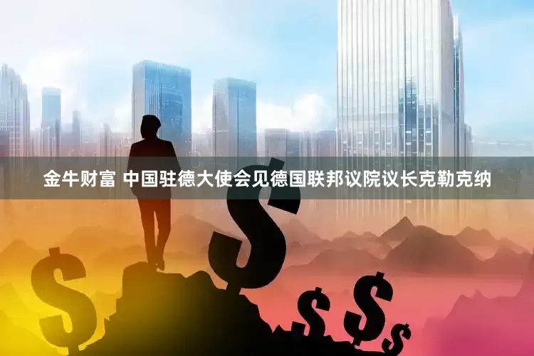 金牛财富 中国驻德大使会见德国联邦议院议长克勒克纳