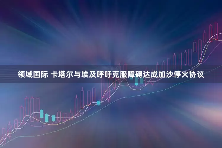领域国际 卡塔尔与埃及呼吁克服障碍达成加沙停火协议