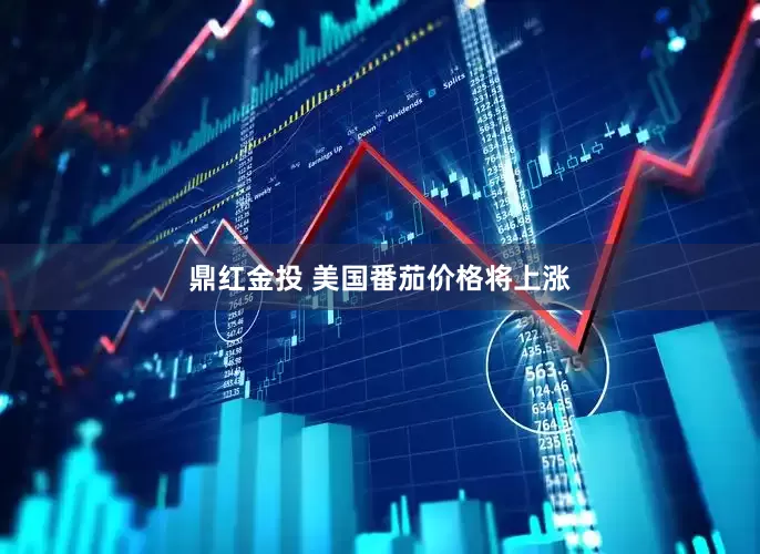 鼎红金投 美国番茄价格将上涨