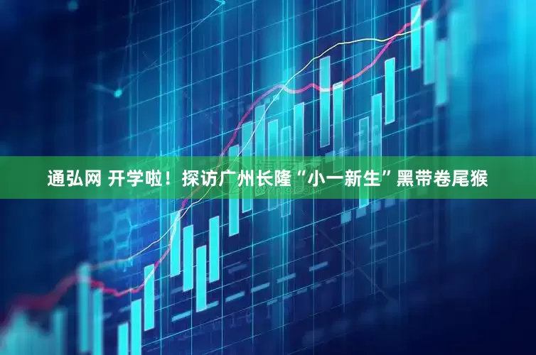 通弘网 开学啦！探访广州长隆“小一新生”黑带卷尾猴