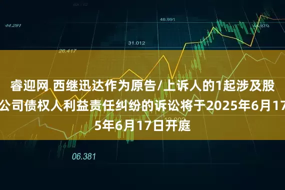 睿迎网 西继迅达作为原告/上诉人的1起涉及股东损害公司债权人利益责任纠纷的诉讼将于2025年6月17日开庭